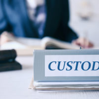 Binder that reads custody.jpg.crdownload Binder that reads custody.jpg.crdownload